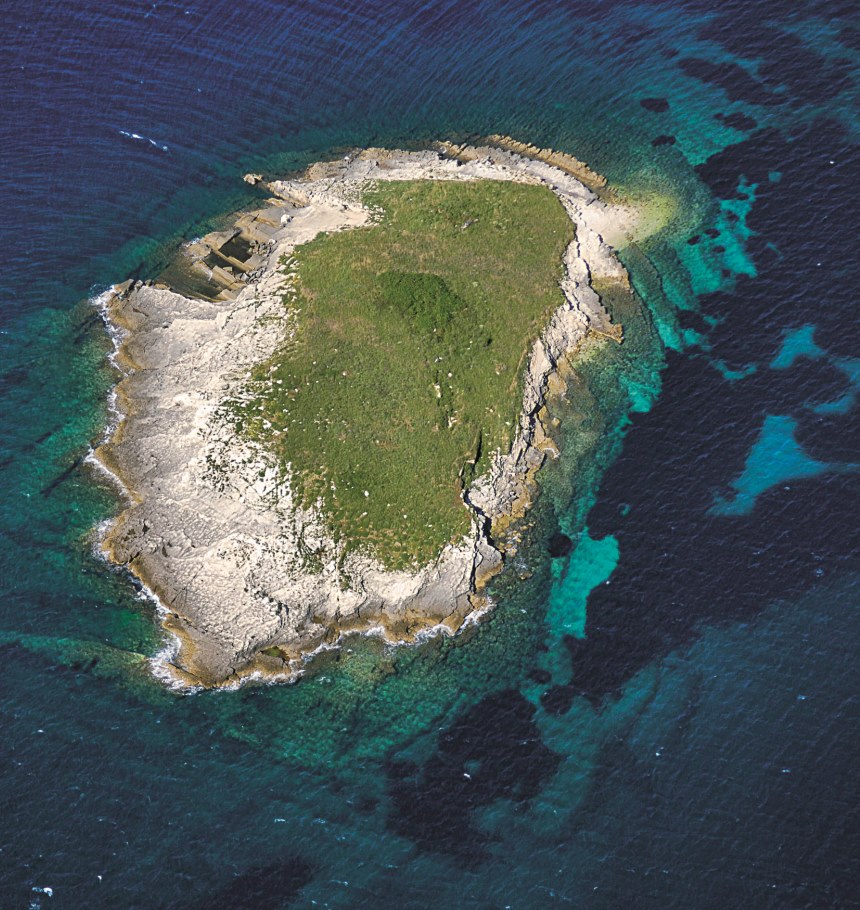 Insel Ceja